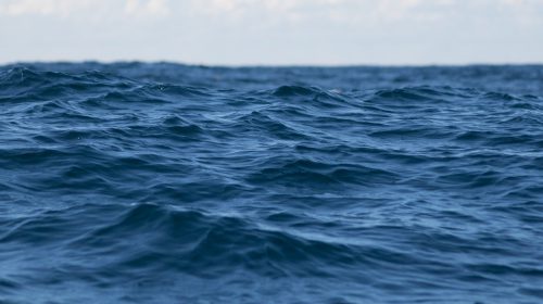 Livros Eternos: A Estratégia do Oceano Azul